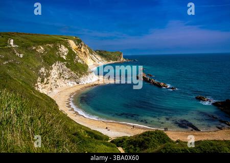 Man o’ War Beach et Man o’ War Cove depuis le sentier côtier autour de Durdle Door, île de Purbeck, Dorset, Angleterre, Royaume-Uni. Banque D'Images