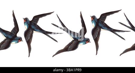 Avale les oiseaux ressort élégante bordure sans couture. Bannière de bordure graphique à l'aquarelle vintage dessinée à la main. Parfait pour le papier d'emballage rétro, printemps ou Banque D'Images