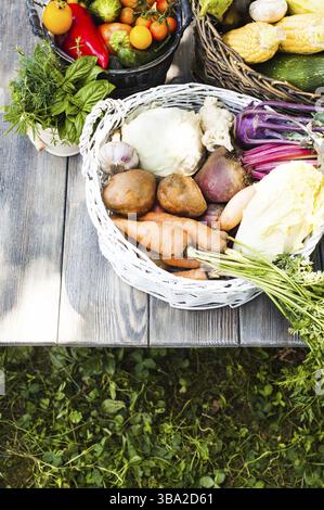 Divers légumes racines dans un panier, récolte de jardin Banque D'Images