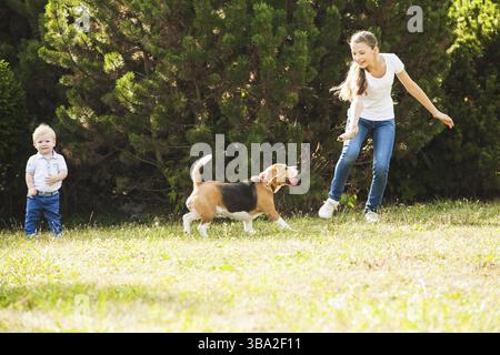 Funny Girl throwing stick pour chien beagle active dans le parc Banque D'Images