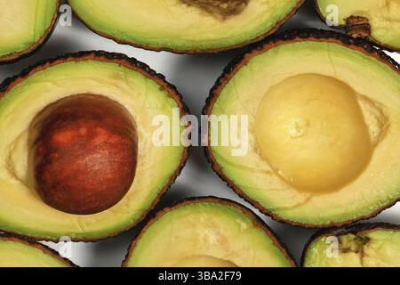 Moitiés d'avocat, un fruit avec des graines brunes à l'intérieur, disposées sur tableau blanc, gros plan macro détail, Liptovsky Hradok, Slovaquie, Europe Banque D'Images