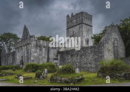 Ruines de l'ancien monastère du XVe siècle, l'abbaye de Muckross est l'un des principaux sites ecclésiastiques du parc national de Killarney, Kerry, Irlande Banque D'Images