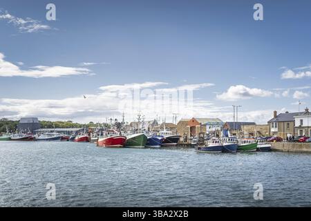 Plusieurs bateaux de pêche colorés amarrés dans le port de Howth. Hameçonnage et équipement de pêche aux crustacés sur les bateaux de pêche, Dublin, Irlande, Europe Banque D'Images