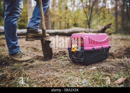 Le sujet de l'enterrement des animaux de compagnie n'est pas légal. L'homme creuse un trou avec une pelle pour enterrer un animal dans la forêt. Le propriétaire fait la tombe avec une pelle, digs Banque D'Images
