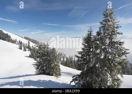 Fantastique circuit en raquettes sur la Hochgrat à Nagelfluhkette à Allgau, en Bavière Banque D'Images