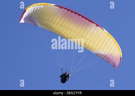 Weissrussland Stadt Gomel 7. Oktober 2018. Auftritte auf Paragliding. Ein Gleitschirm fliegt in den Himmel unter einem mehrfarbigen Gleitschirm. Mann Banque D'Images