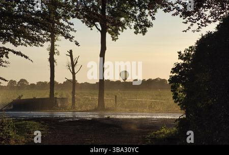 Silhouette d'irrigation agricole arrosage système de blé au coucher du soleil. L'irrigation en utilisant le champ de système de gicleurs à pivot central. Amsterdam, Th Banque D'Images