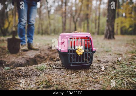 Le sujet de l'enterrement des animaux de compagnie n'est pas légal. L'homme creuse un trou avec une pelle pour enterrer un animal dans la forêt. Le propriétaire fait la tombe avec une pelle, digs Banque D'Images