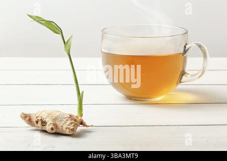 Tasse de thé vapeur fraîchement infusé sur le bureau des tableaux blancs, verre humide de l'humidité, racine de gingembre sèche avec germe vert à côté, Liptovsky Hradok, Slov Banque D'Images