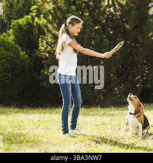 Funny Girl throwing stick pour chien beagle active dans le parc Banque D'Images