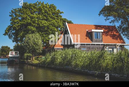 Paysage hollandais en été, de fleurs et de plantes Banque D'Images