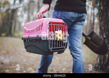 Homme toujours en forêt transportant une boîte de transport à l'intérieur avec un animal mort et une pelle pour enterrer un animal dans le bois. Perte d'animal en automne. Le mâle va faire un illeg Banque D'Images