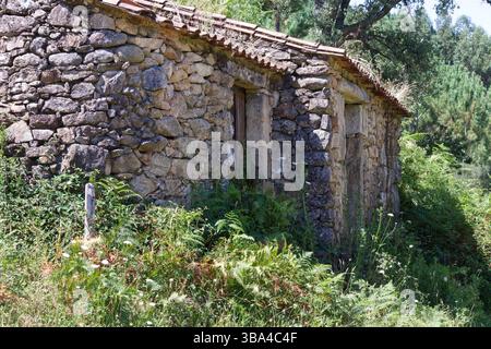 Vieux moulin à eau en pierre caché dans une végétation luxuriante dans la Galice rurale, Espagne. Banque D'Images