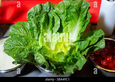 Feuilles de laitue romaine verte croquante disposées dans un bol en métal, prêtes pour la préparation de salade sur un comptoir de cuisine. Banque D'Images