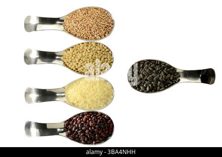 HARICOTS RIZ SARRASIN SEEDT LENTILLES EN CUILLÈRE UEBER DAS ISOLAT Banque D'Images