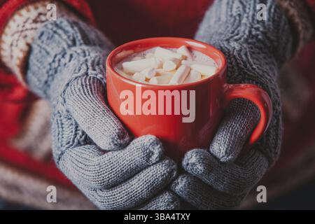Chaud hiver photo que les mains dans des gants tricotés tenant un mug cacao avec guimauve Banque D'Images