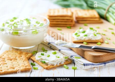 Un bol de fromage à tartiner maison avec de la ciboulette hachée entouré de biscuit et un bouquet de ciboulette fraîchement coupée. Banque D'Images