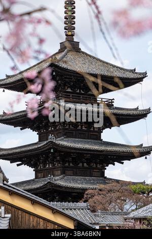 Pagode Yasaka encadrée par des cerisiers roses au printemps Banque D'Images
