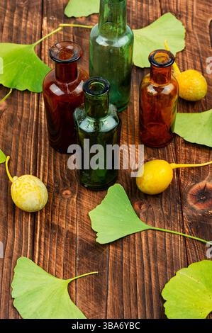 Extrait du ginkgo avec des feuilles et des noix jaunes. Concept de phytothérapie naturelle. Banque D'Images