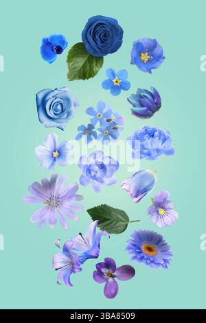 Belles fleurs dans les tons bleus et violets tombant sur fond turquoise Banque D'Images