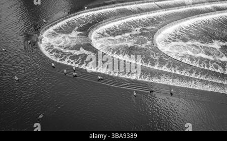Oies dans la rivière avon avec une cascade dans Bath, royaume-uni angleterre Banque D'Images