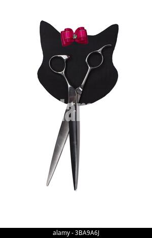 Ensemble de différents peignes et brosses pour le toilettage des animaux de compagnie sur un fond blanc avec réflexion d'ombre. Figurine de chat créative fabriquée à partir d'outils de toilettage Banque D'Images