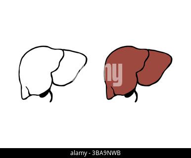 Illustration vectorielle de doodle de foie. Organe interne humain dans le style dessiné à la main Banque D'Images