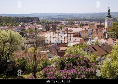 Ville pittoresque de Mikulov au printemps ensoleillé avec des buissons et des arbres en fleurs. Mikulov, étendu sur les collines de Palava et entouré de vignes Banque D'Images
