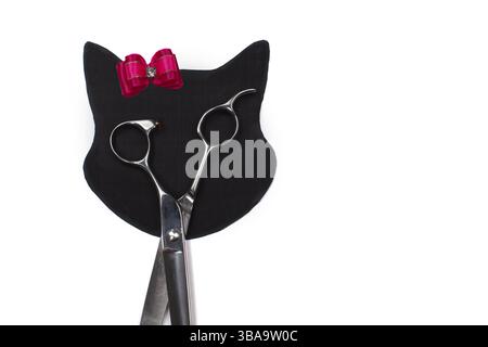 Ensemble de différents peignes et brosses pour le toilettage des animaux de compagnie sur un fond blanc avec réflexion d'ombre. Figurine de chat créative fabriquée à partir d'outils de toilettage Banque D'Images