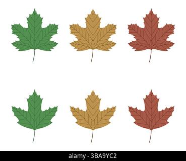Illustration vectorielle de feuilles de sycomore vertes, jaunes et rouges isolées sur fond blanc. Clip feuille d'érable art Banque D'Images
