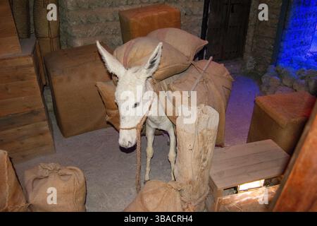 Un âne blanc chargé de sacs en toile de jute se dresse dans un cadre rustique entouré de caisses et de sacs en bois. L'environnement a une histoire ou une tradition Banque D'Images