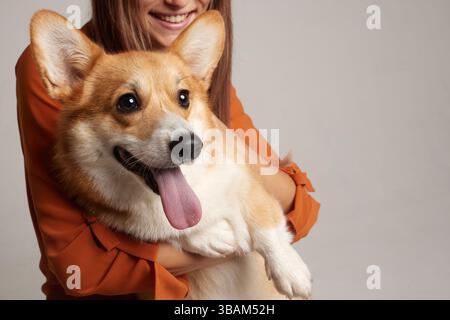 Gros plan d'un chien Corgi souriant avec la langue dehors, tenu par une jeune femme heureuse, isolé sur fond de studio léger. Banque D'Images