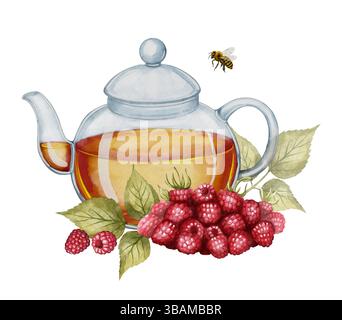 Théière avec tisane, framboises mûres, feuilles et abeilles. Dessin aquarelle, idéal pour l'emballage de thé, les étiquettes de produits à base de plantes, le décor de cuisine et la conception liée à la nourriture. Banque D'Images