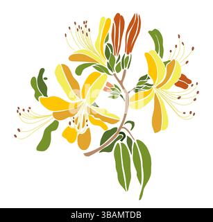 Fleur jaune élégant Honeysuckle mois de naissance juin Illustration de Vecteur
