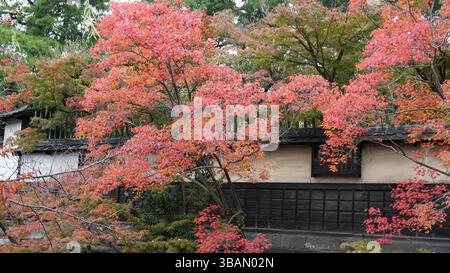 Charme intemporel du quartier historique Kurashiki Bikan Banque D'Images