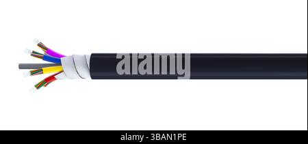 Câble à fibre optique exposant les fibres optiques sur fond transparent 3D. Banque D'Images