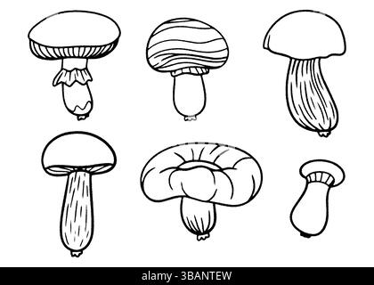 Jeu d'icônes de doodle champignon. Illustration vectorielle dessinée à la main de champignons comestibles. Collection de champignons de style d'esquisse pour la conception alimentaire, emballage, décor de cuisine, Illustration de Vecteur