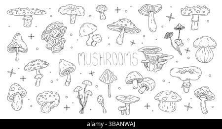 ensemble de divers champignons toxiques et comestibles Illustration de Vecteur