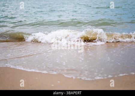 Un gros plan capture une douce vague qui se brise sur une plage de sable. Le sable humide au premier plan reflète la lumière et l'eau qui recule. Banque D'Images