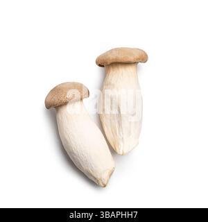 Champignons King Oyster isolés sur fond blanc. Nourriture végétarienne saine, deux Eryngii ou champignon trompette. Banque D'Images