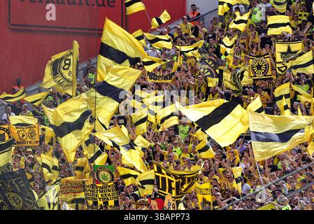 Leverkusen, Deutschland. 11 mai 2025. firo : 05/11/2025, football, football, 1ère Bundesliga, 1ère ligue, saison 2024/2025, Bayer 04 Leverkusen - BVB, Borussia Dortmund 2 :4 fans de Borussia Dortmund fans de Borussia Dortmund crédit : dpa/Alamy Live News Banque D'Images