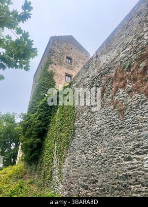 Château médiéval de Bolków en basse-Silésie, Pologne Banque D'Images