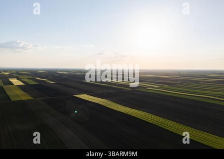 Vue aérienne des terres agricoles. Champs vert et noir Banque D'Images