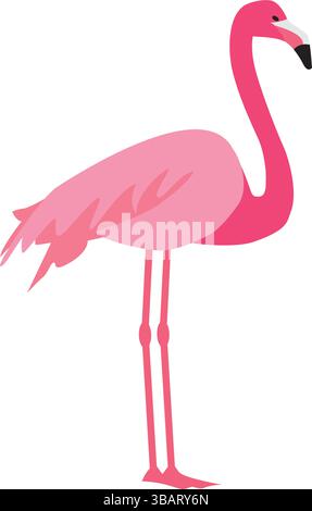 Illustration vectorielle rose flamants isolée sur fond blanc. Illustration de Vecteur