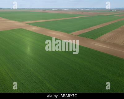 Vue aérienne des terres agricoles. Champs vert et noir Banque D'Images