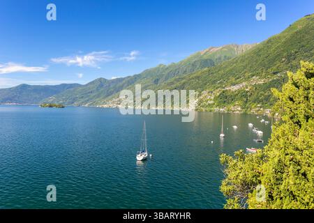 Vue vers l'île de Brissago, Ronco Sopra Ascona et le village de Brissago Banque D'Images