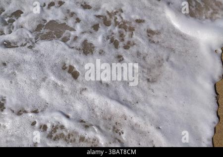 Lorsque la lumière du soleil commence à se lever, de douces vagues se jettent sur le rivage sablonneux, créant un beau contraste avec l'eau scintillante et la texture sablonneuse. Banque D'Images