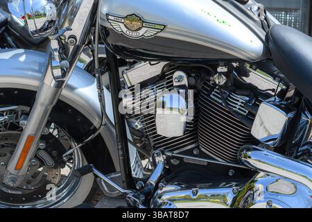 Moteur, roue et réservoir d'essence avec logo sur une moto Harley-Davidson. Banque D'Images
