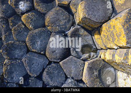 Motifs dans la nature. Gros plan des colonnes de basalte imbriquées de Middle Causeway, Giant's Causeway, côte d'Antrim, Irlande du Nord Banque D'Images