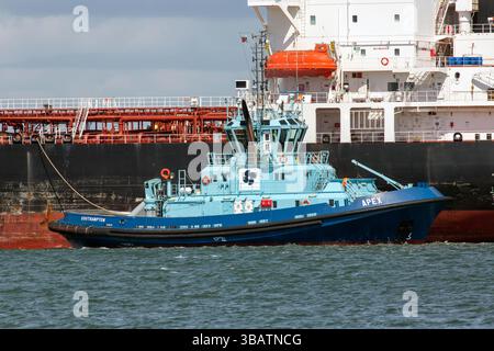 Southampton, Hampshire, Royaume-Uni - 22 avril 2025 : remorqueur Apex sur Southampton Water travaillant avec un gros pétrolier à Fawley Banque D'Images